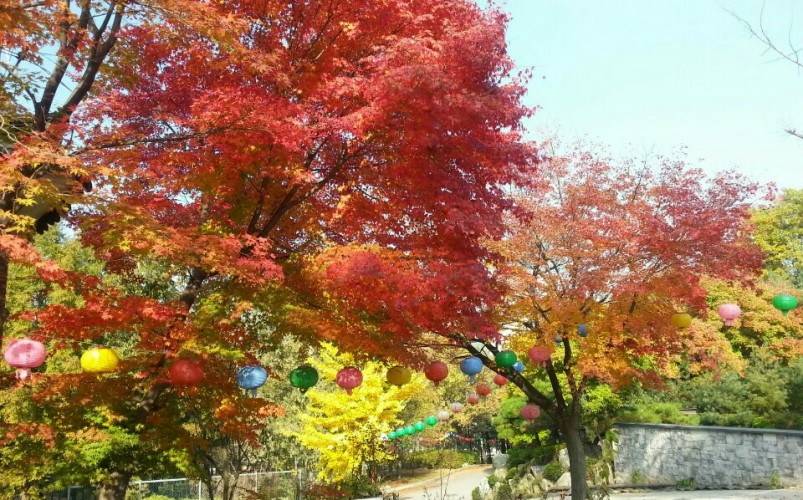 법기사 둘러보기
