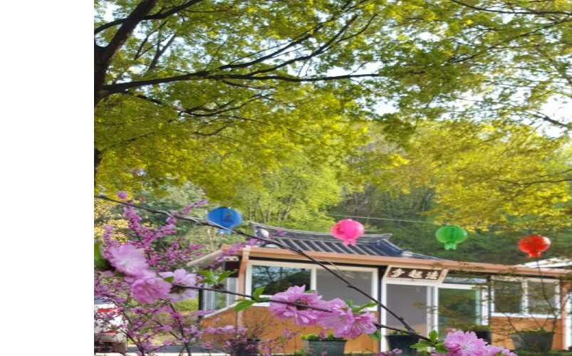 법기사 둘러보기