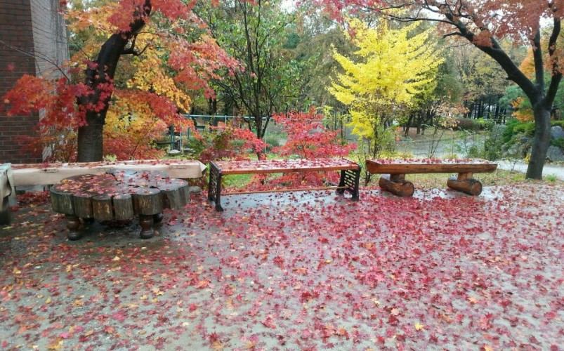법기사 둘러보기